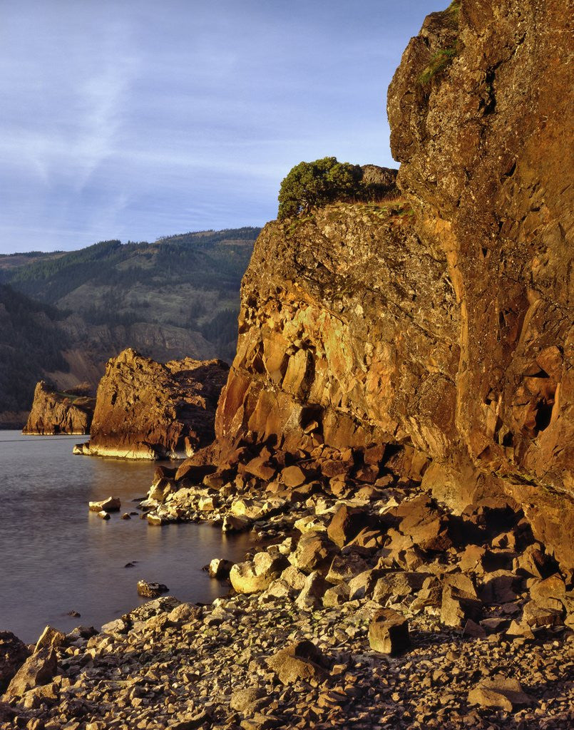 Detail of Evening light on basalt cliffs by Anonymous