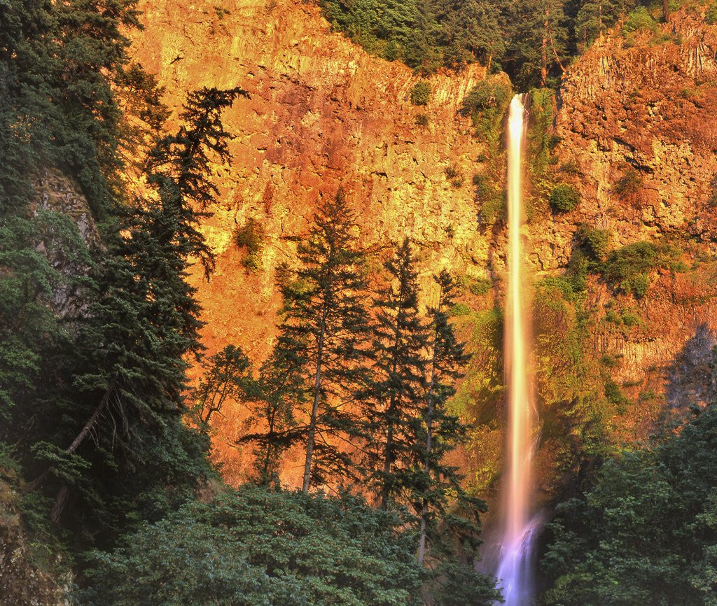 Detail of Evening light on Multnomah Falls by Anonymous