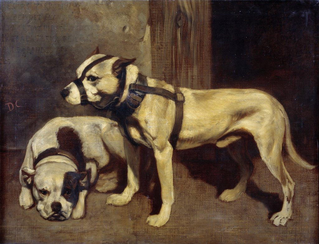 Detail of Bulldog and Scottish terrier by Alexandre Gabriel Decamps
