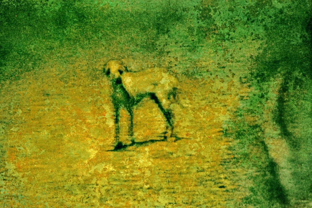 Detail of Dog by Anonymous