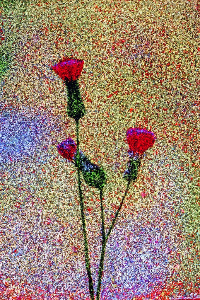 Detail of Little Flowers by Anonymous