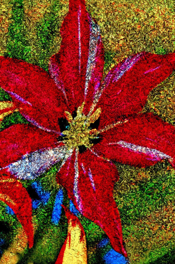 Detail of Red Flower by Anonymous