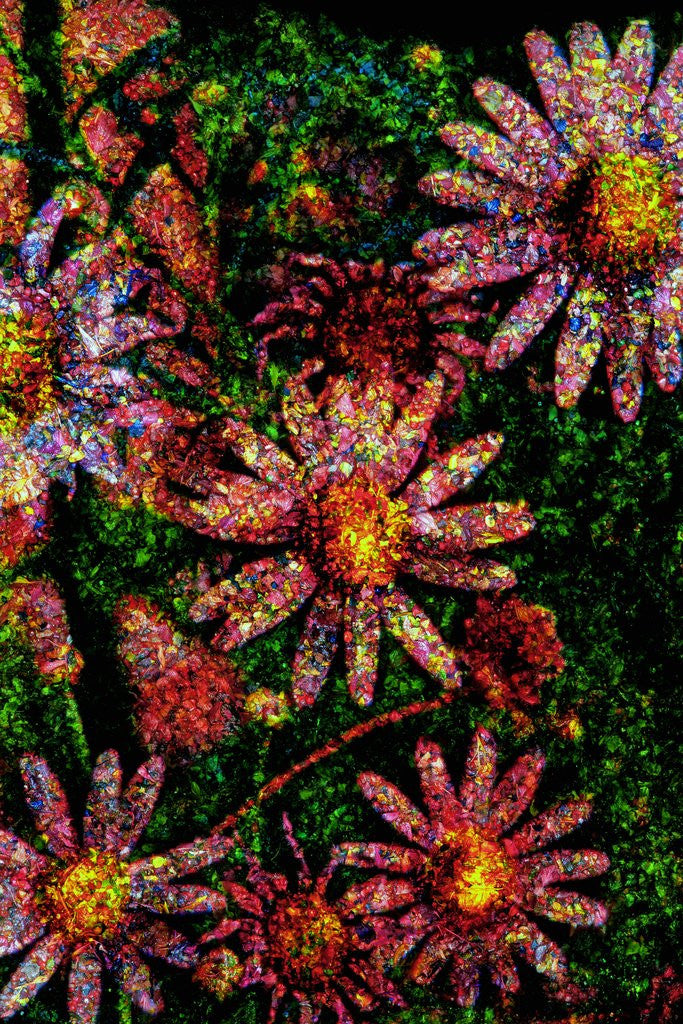 Detail of Flowers by Anonymous