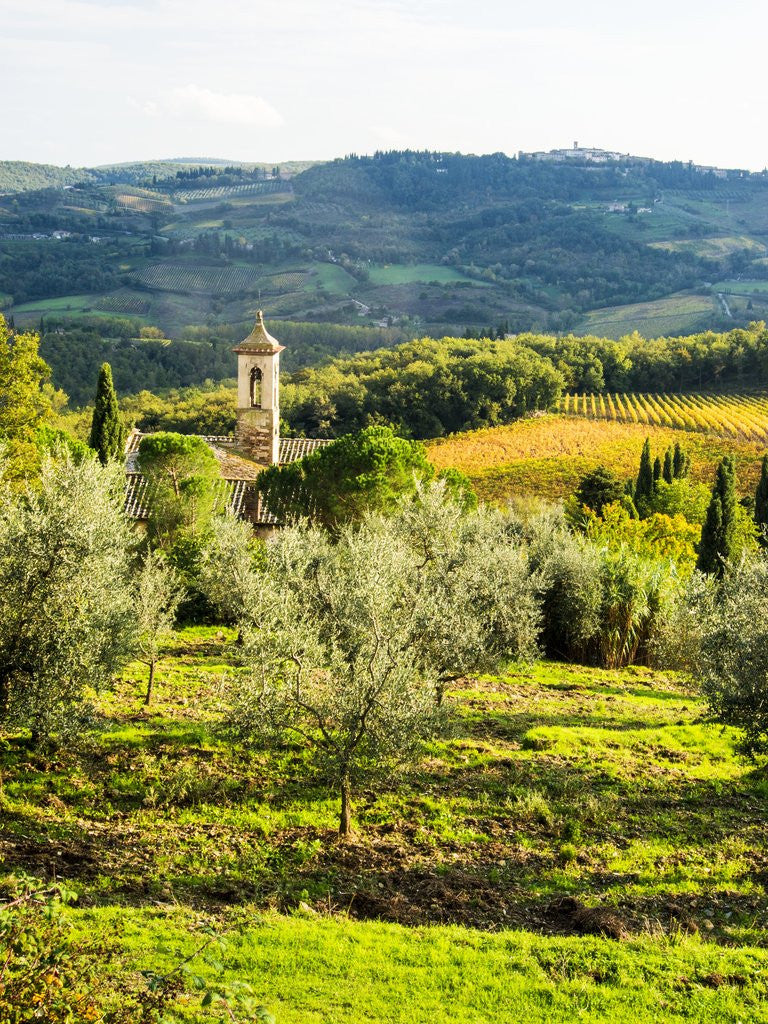Detail of Pieve di Santa Maria Novella Near Radda in Chianti by Anonymous