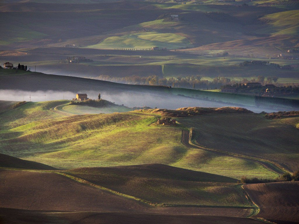 Detail of Morning light over the fields of Winter Wheat above the Tuscan Landscape by Anonymous
