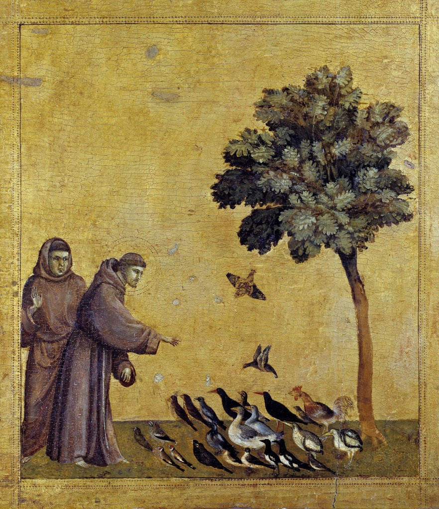 Detail of St. Francis of Assisi Preaching to the Birds by Giotto di Bondone