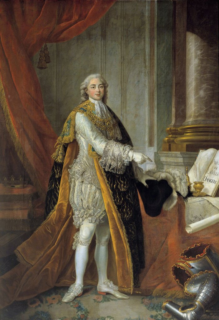 Detail of Full-length portrait of Louis Stanislas Xavier de France by Francois Hubert Drouais