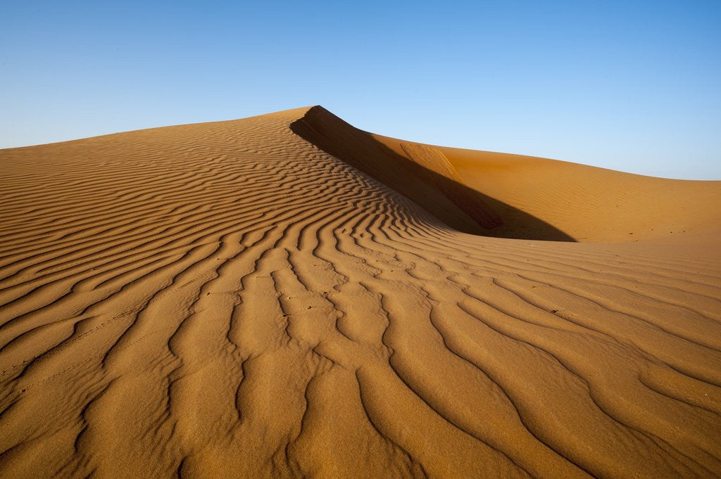 Detail of Sand dunes by Anonymous