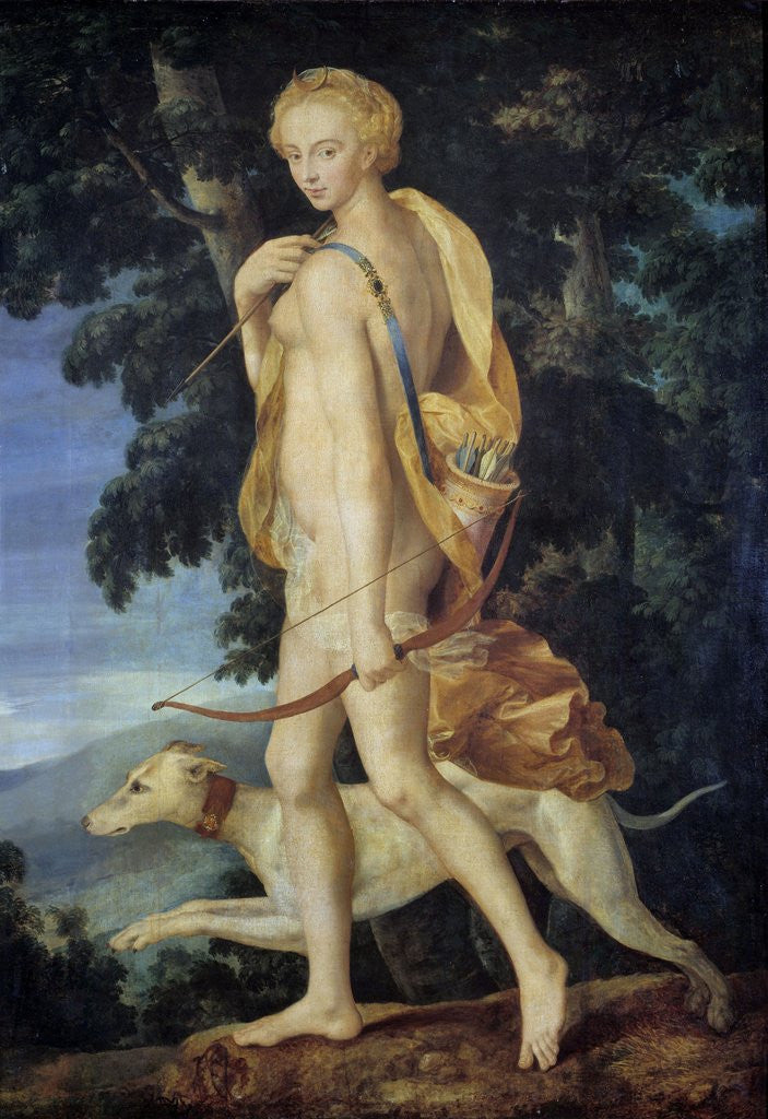 Detail of The goddess Diana the Huntress by Anonymous