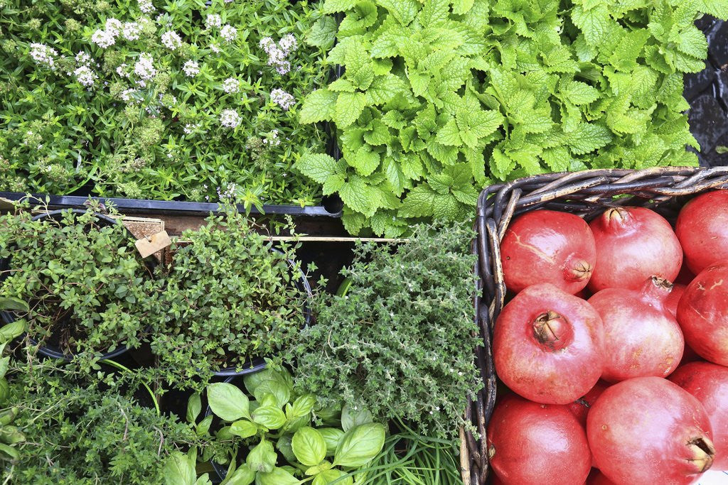 Detail of Campo de' Fiori everyday market. by Anonymous