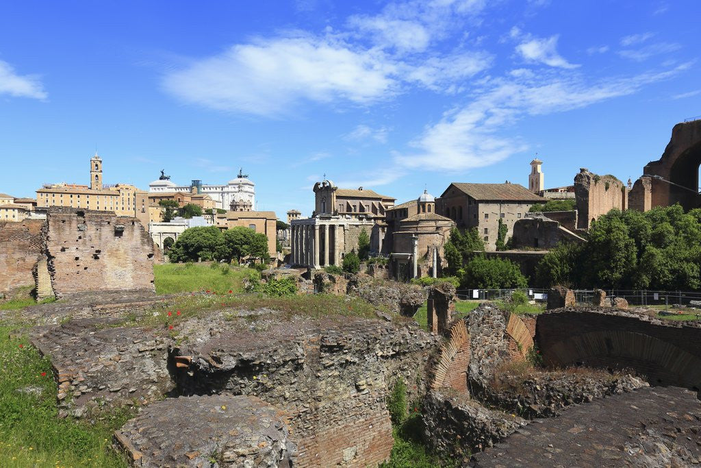 Detail of The roman forum. by Corbis