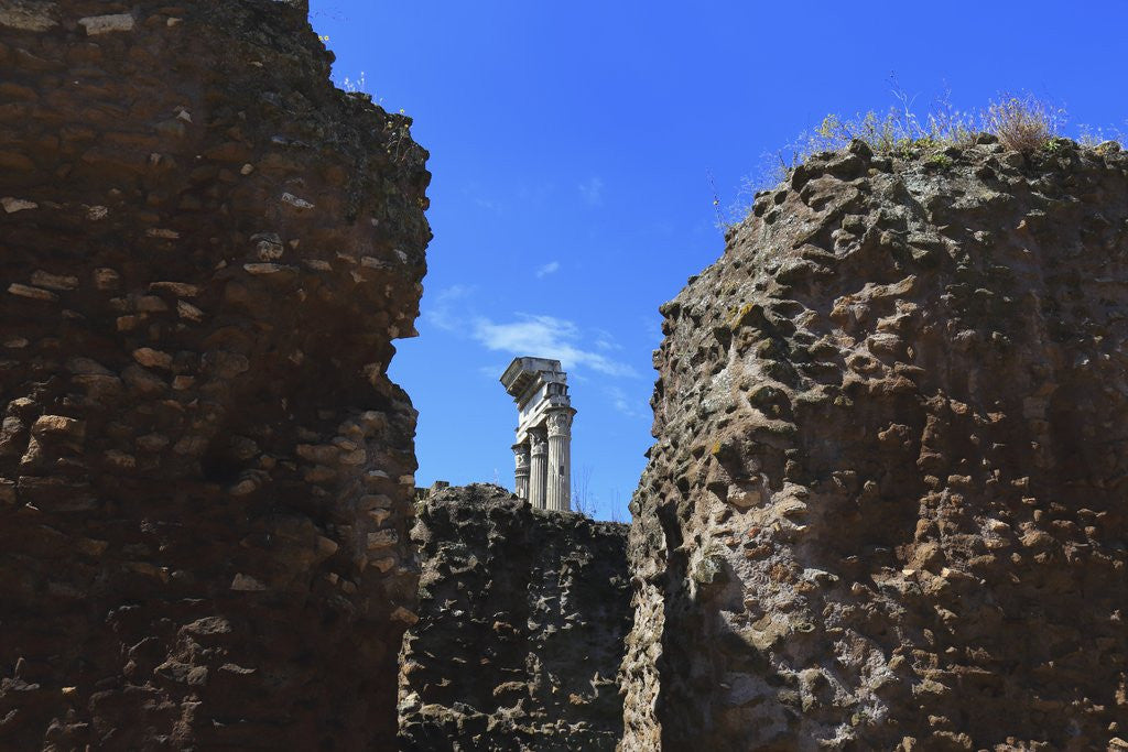 Detail of The roman forum. by Anonymous