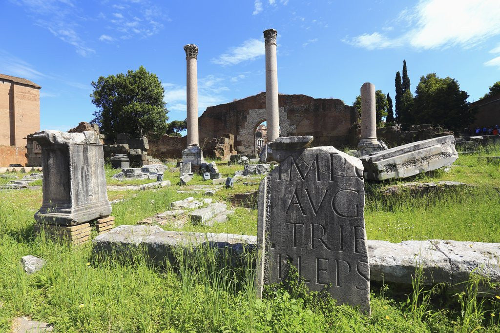 Detail of The roman forum. by Anonymous
