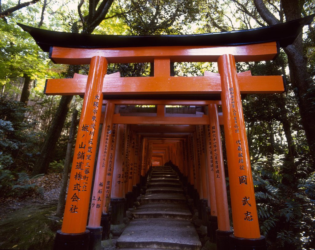 Detail of Torii, Fushimi Inari-taisha Shrine , Kyoto, Japan by Anonymous