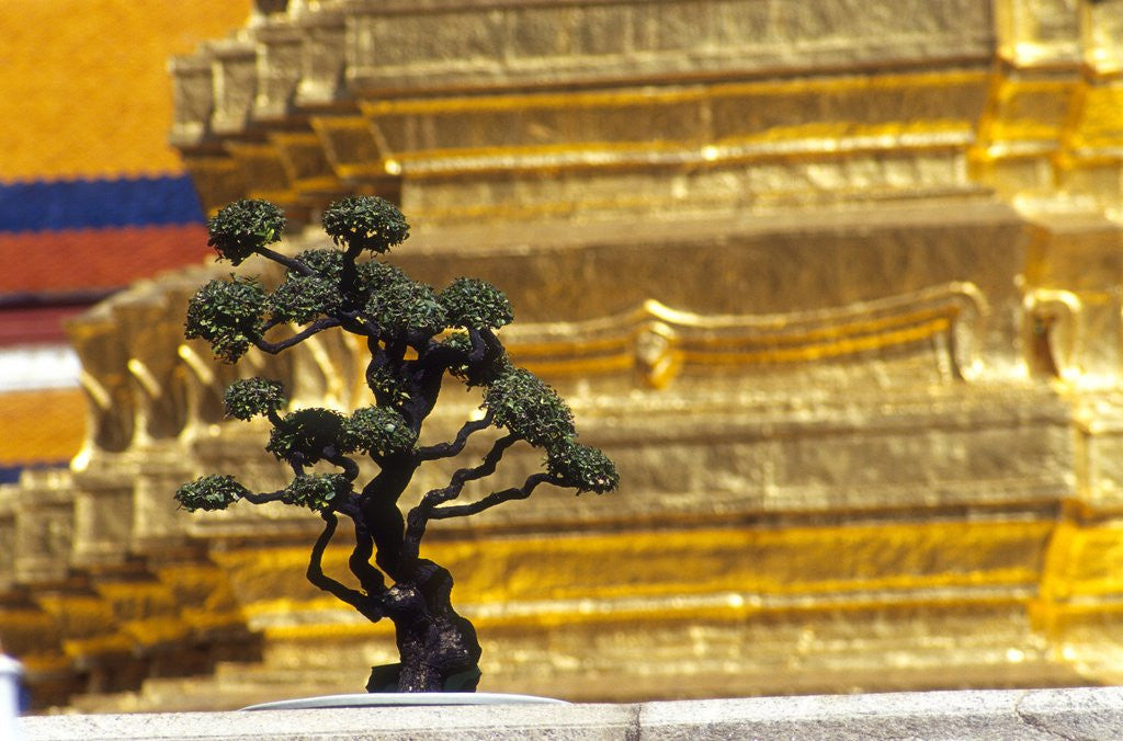 Detail of Detail of Wat Phra Kaeo, Bangkok, Thailand by Anonymous