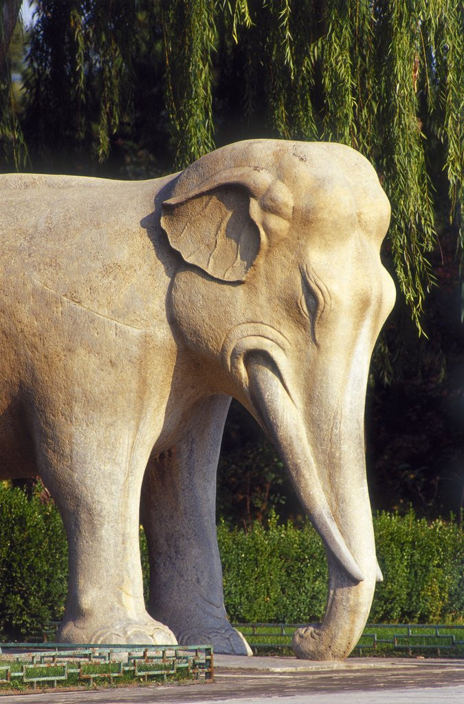 Detail of Stone elephant, Sacred Way, Ming Tombs, Beijing, China by Corbis