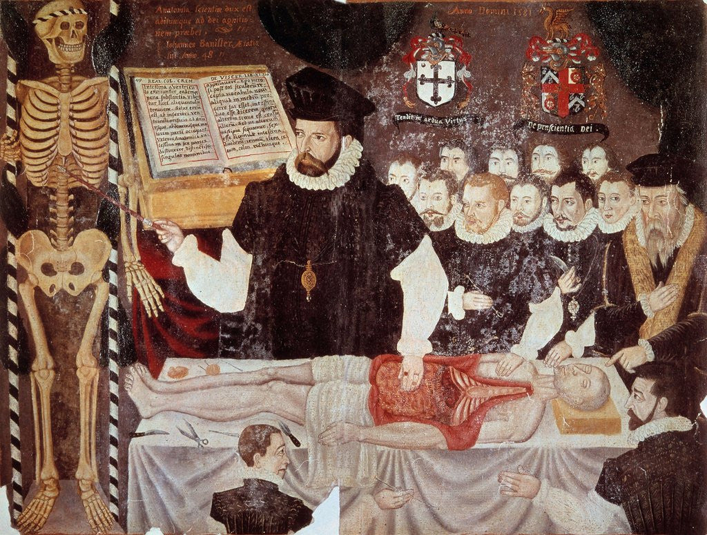 Detail of John Banister giving an anatomical lesson at the Barber-Surgeon's Hall in 1548 by Anonymous