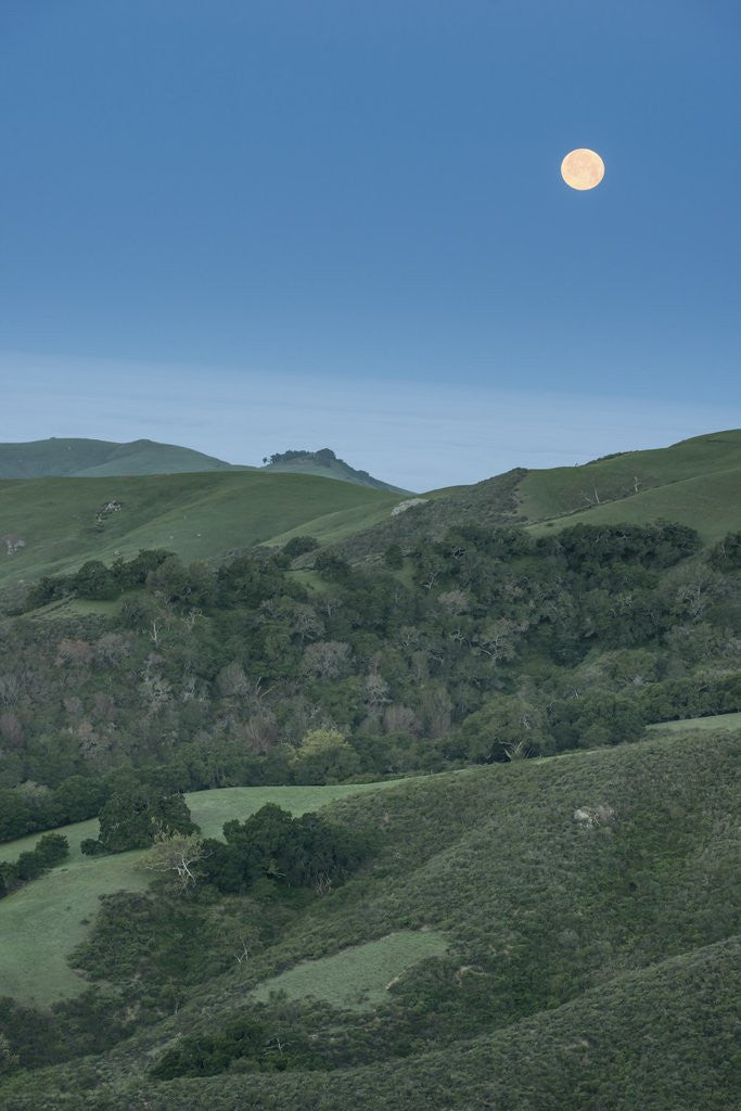 Detail of Full Moon Over the Central Coast by Corbis