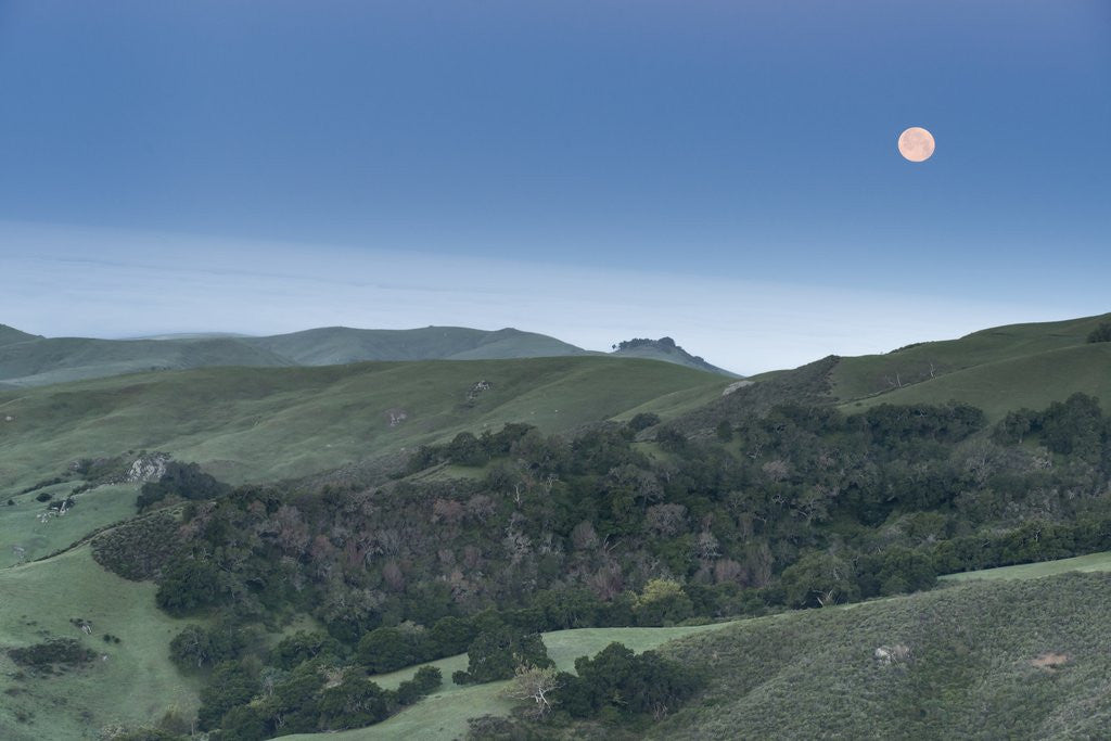 Detail of Full Moon Over the Central Coast by Corbis