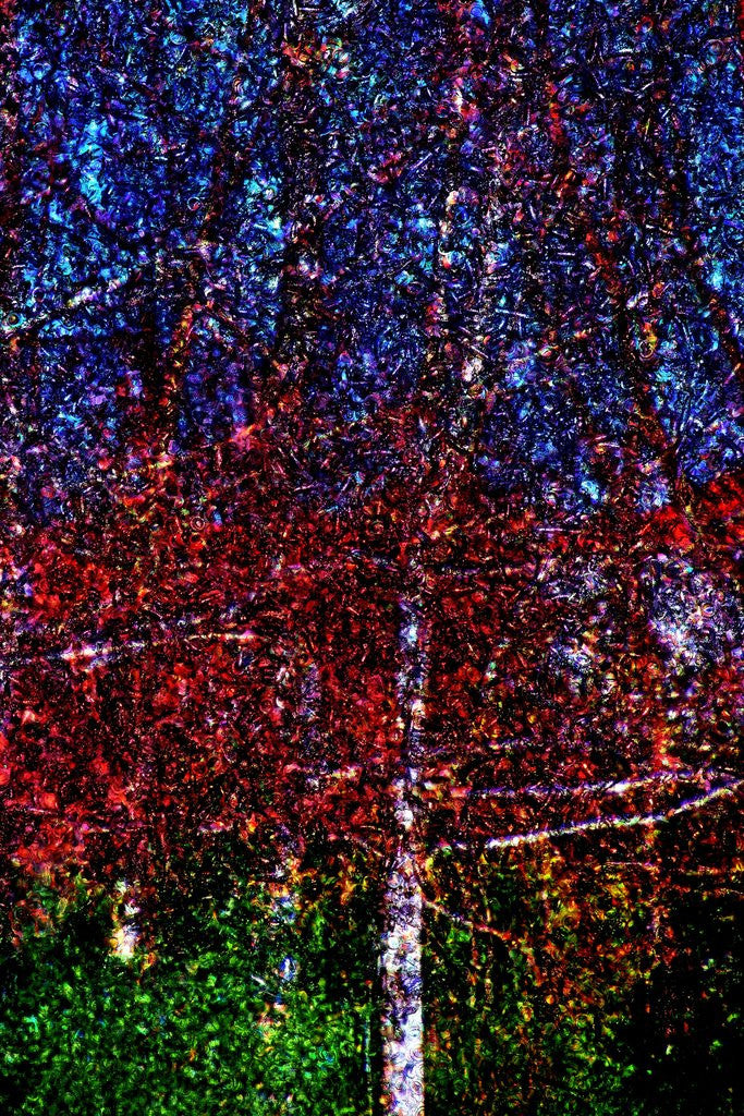 Detail of Nature by Anonymous