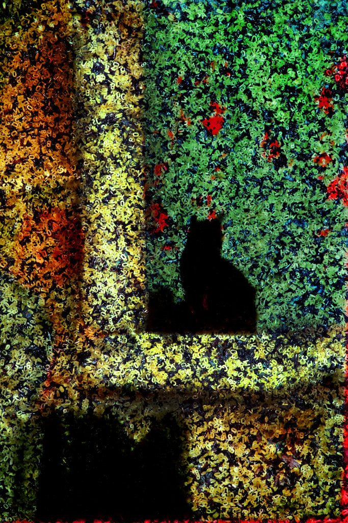 Detail of Black Cat by Corbis