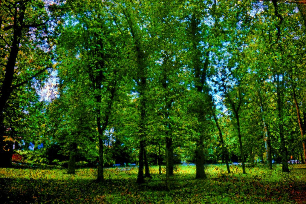 Detail of Green by Anonymous