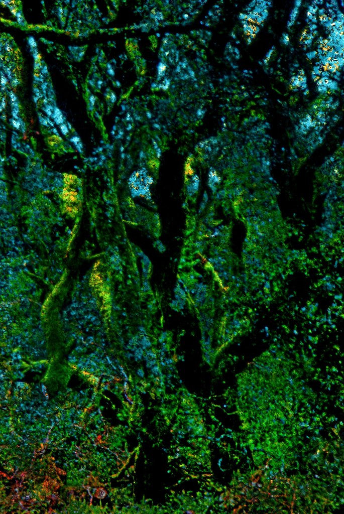 Detail of Green by Anonymous