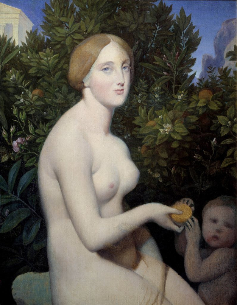 Detail of Venus at Paphos by Jean-Auguste-Dominique Ingres and Alexandre Desgoffes by Anonymous