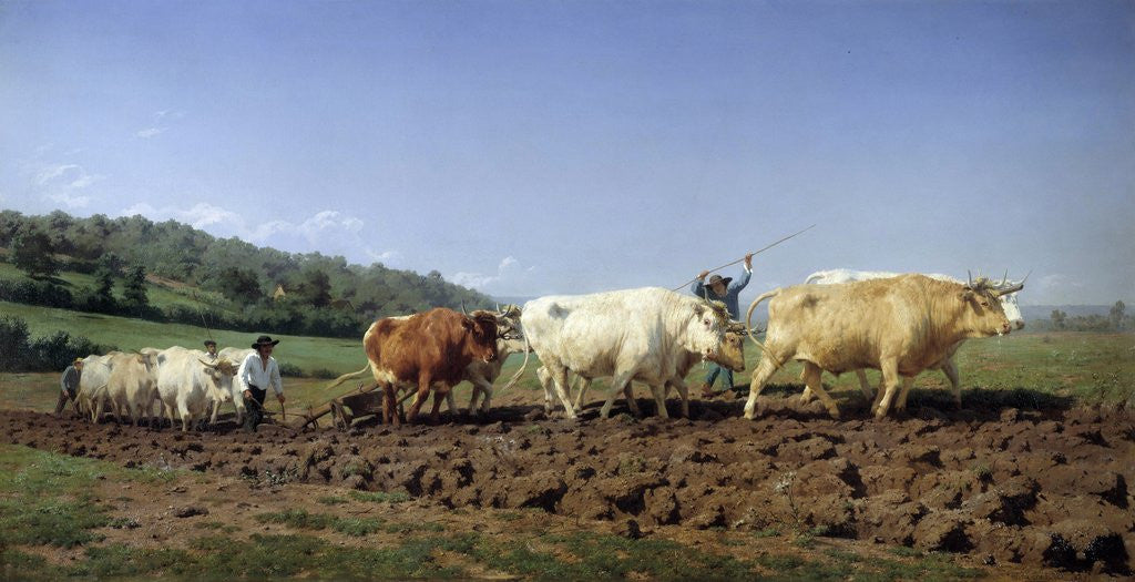 Detail of Ploughing in Nevers by Rosa Bonheur
