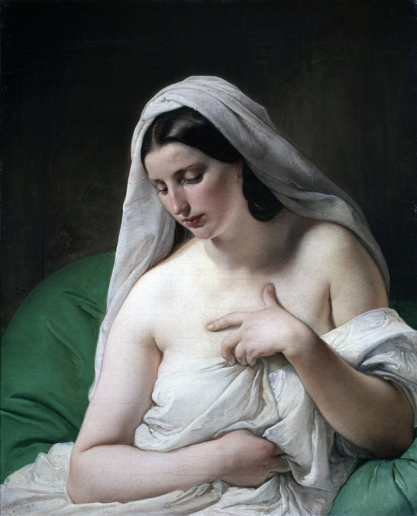 Detail of Odalisque (Odalisca) by Francesco Hayez