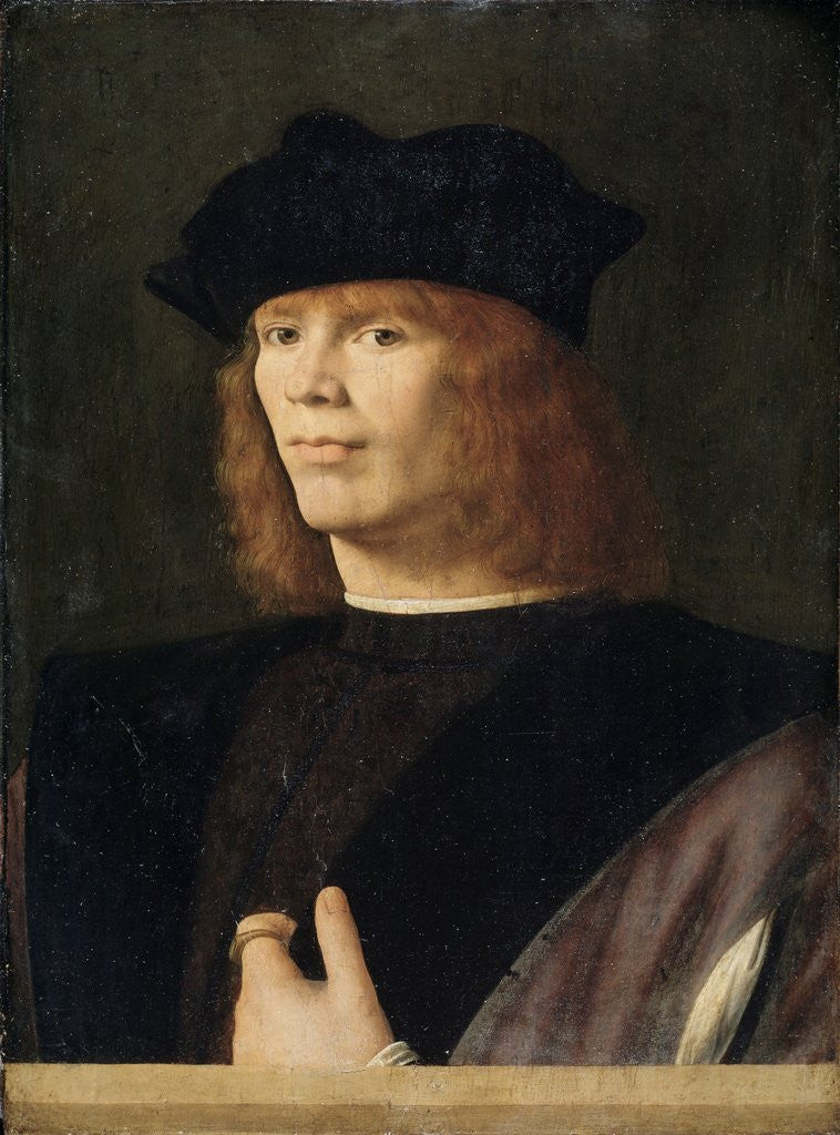 Detail of Portrait of a young man, probably merchant by Andrea Solario