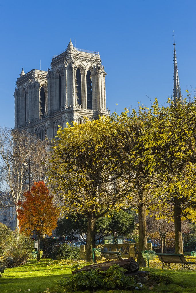 Detail of View of the Cathedrale (cathedral) de Notre Dame from Place (square) RenaÂ© Viviani in autumn by Anonymous