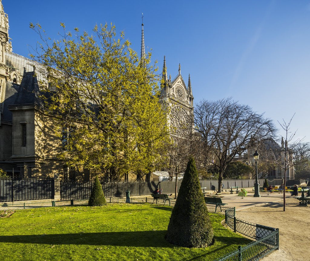 Detail of La Cite, small garden near the Cathedrale (cathedral) de Notre Dame by Anonymous