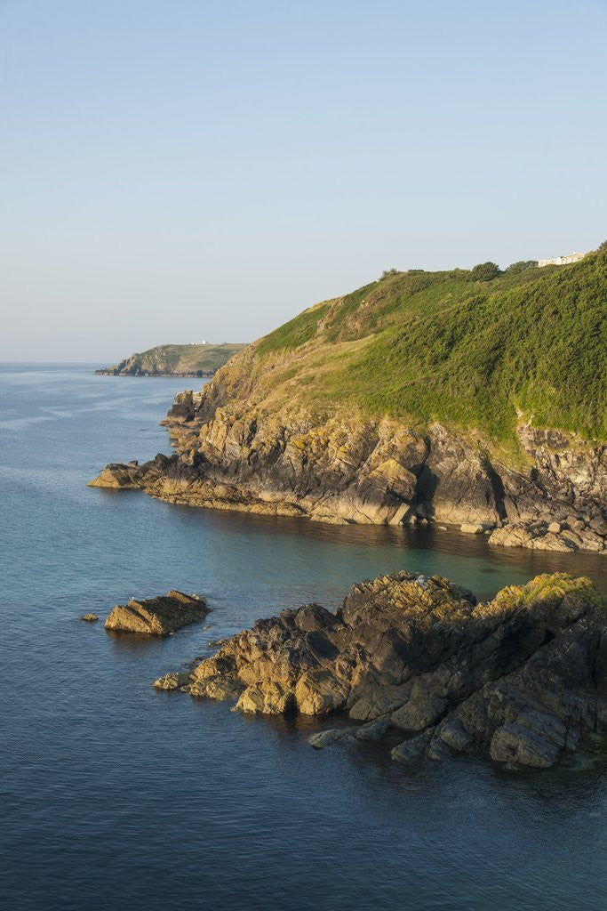 Detail of Lizard Peninsula, Cadwight by Anonymous