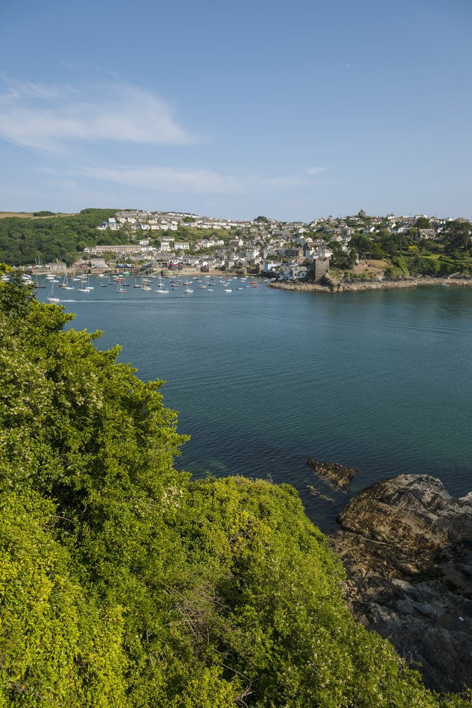 Detail of View of Polruan from Fowey by Anonymous