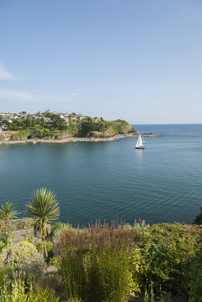 Detail of View of Polruan from Fowey by Anonymous