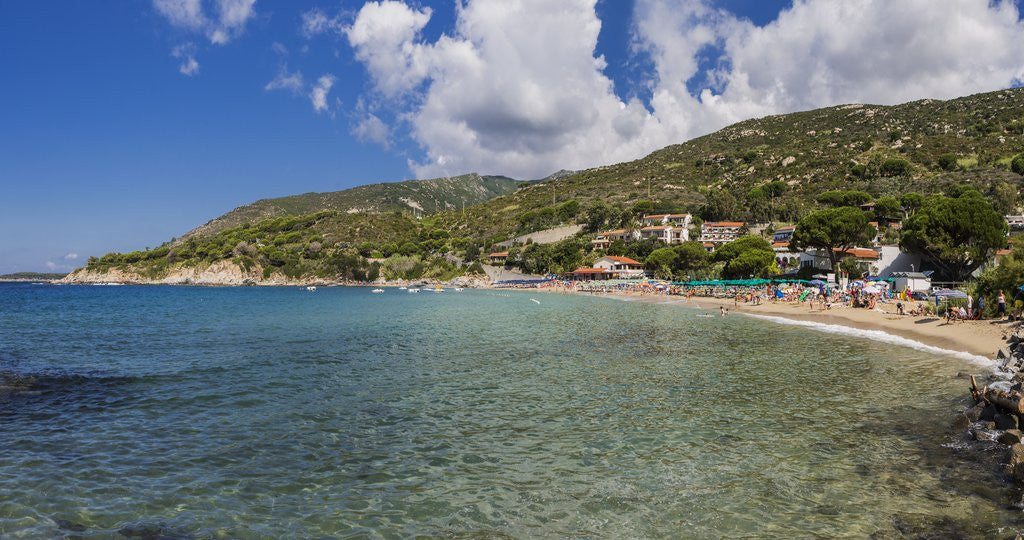Detail of Elba Island - View of Cavoli beach by Anonymous