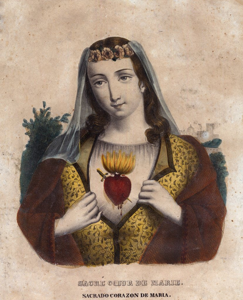 Detail of the Immaculate Heart of Mary by Anonymous