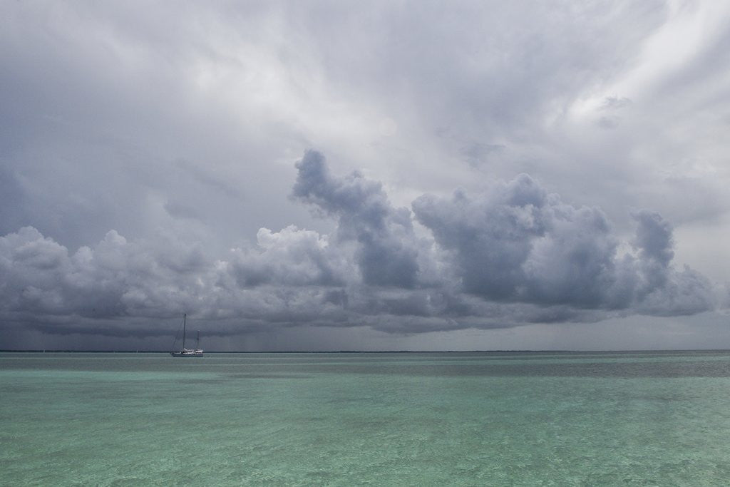 Detail of Rain clouds and thunderstorm at sea. by Anonymous