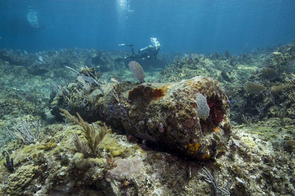 Detail of Diver peruses 10,000 pound Cannon. by Anonymous