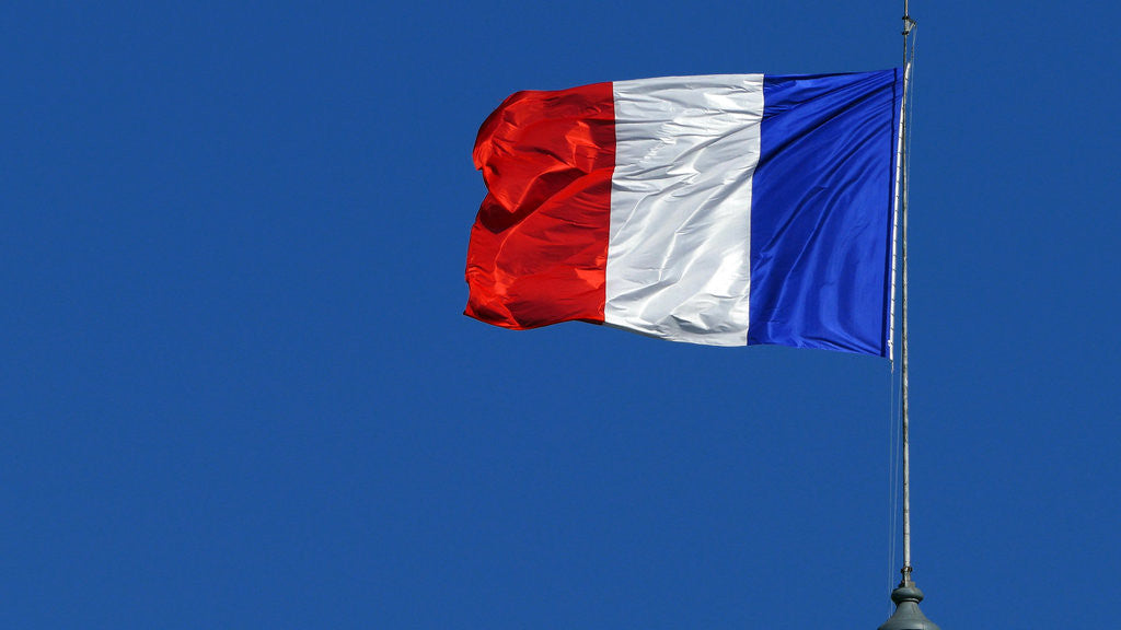 Detail of French flag by Anonymous