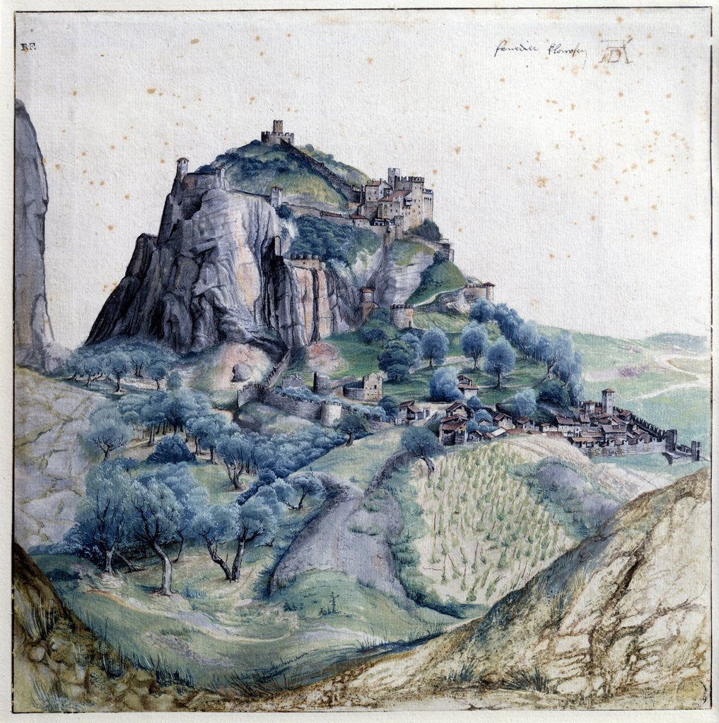 Detail of View of the Arco Valley by Albrecht Dürer