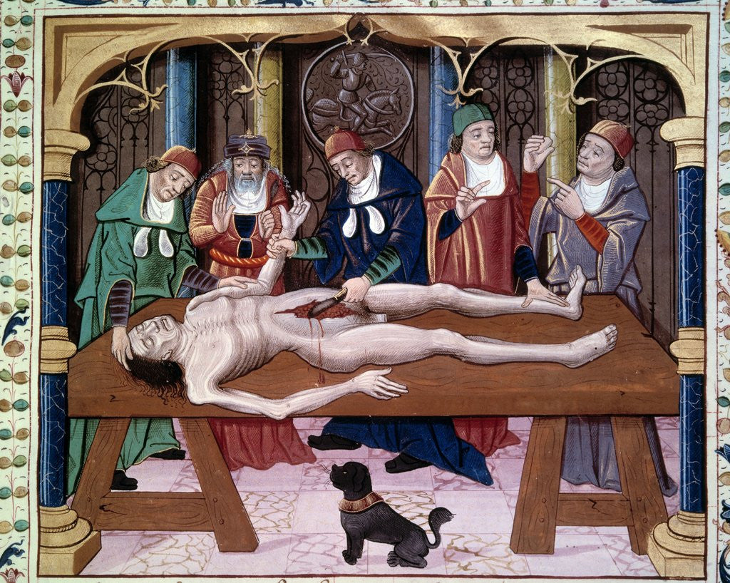 Detail of Autopsy, 15th century by Anonymous