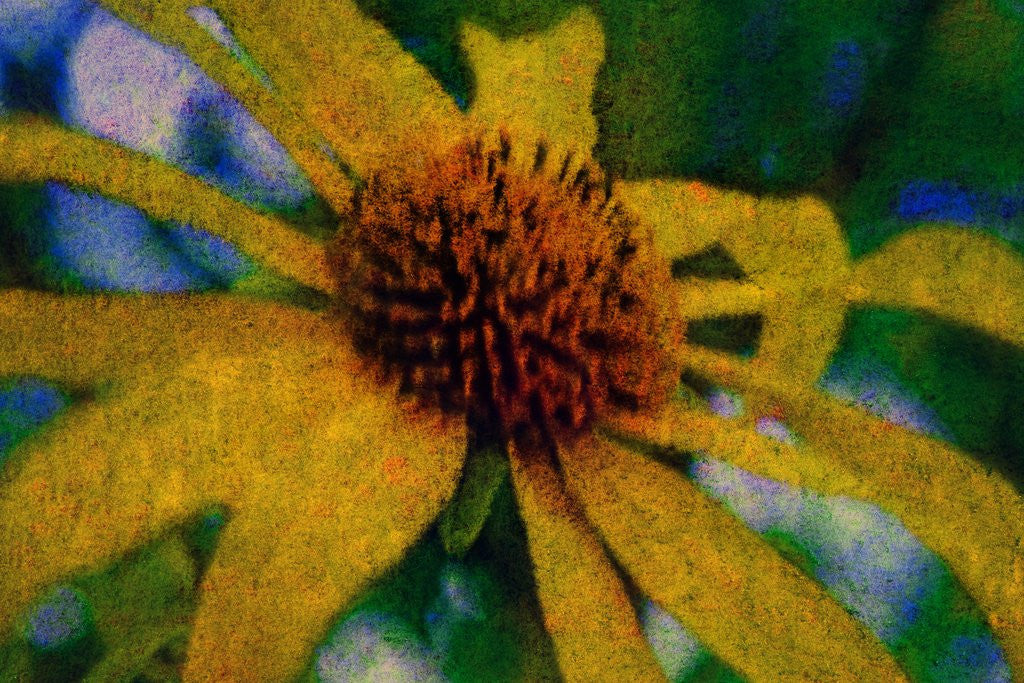 Detail of Yellow Flower by Anonymous