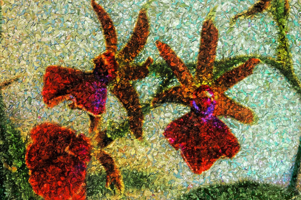 Detail of Orchids by Anonymous