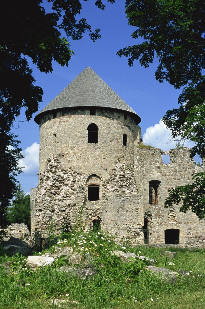 Detail of Cesis Medieval Castle, Cesis, Latvia by Corbis