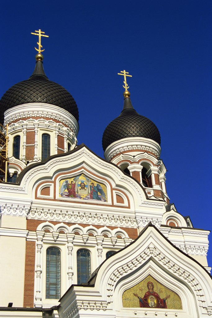 Detail of Alexander Nevski Cathedral, Toompea, Old Town, Tallinn, Estonia by Anonymous