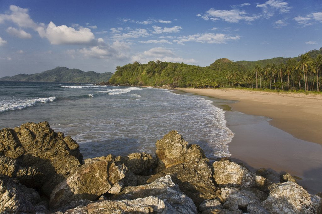 Detail of Palawan Island by Anonymous