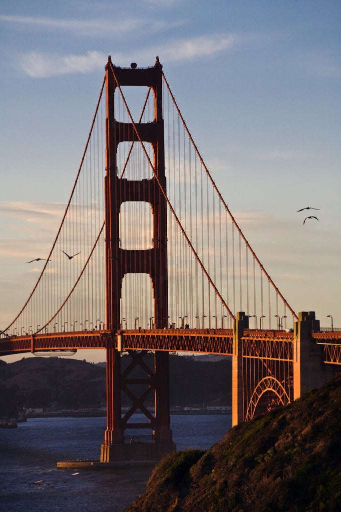 Detail of SAN_FRANCISCO_D260 by Anonymous