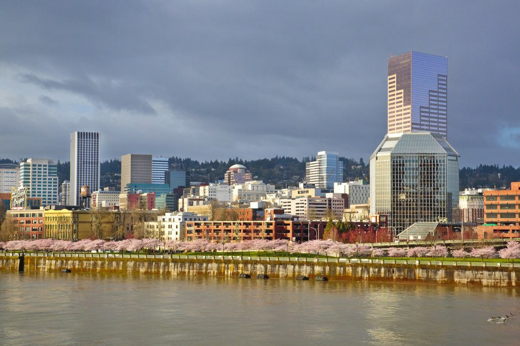 Detail of storm over portland and Willamette River, Portland, Oregon by Anonymous